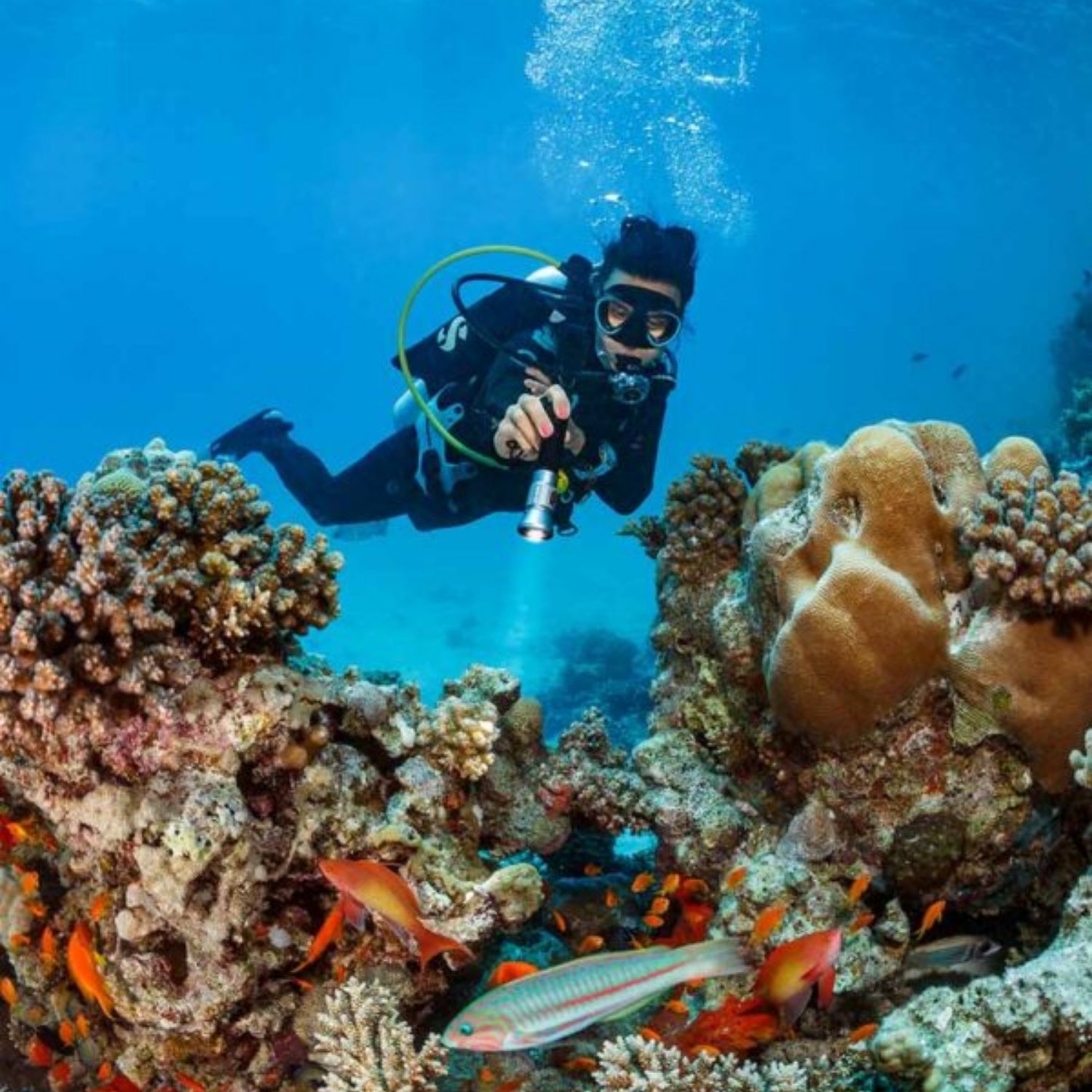 LUZ PARA BUCEO SEA DRAGON MINI 1600 POWER KIT