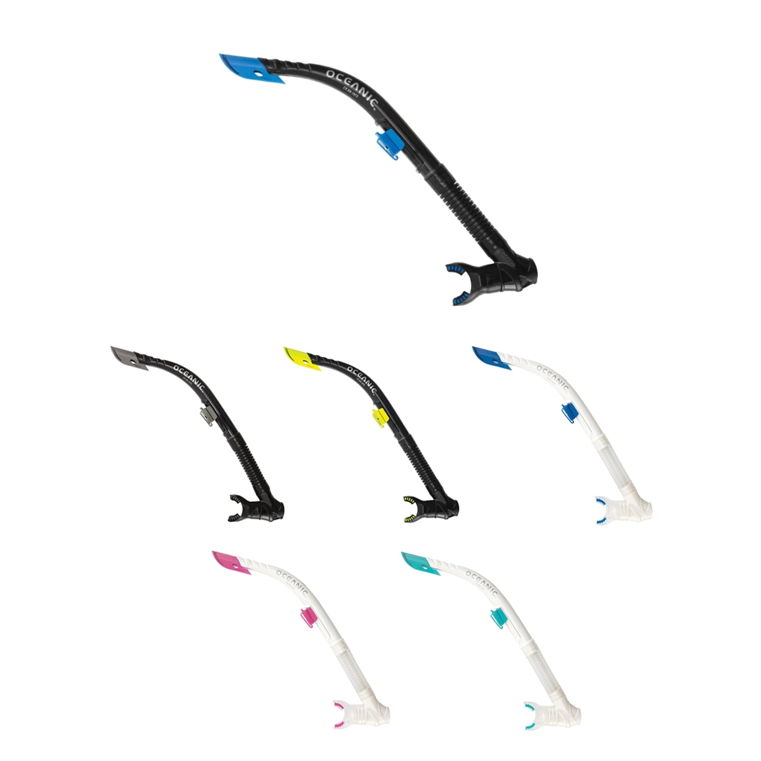 SNORKELOCEANICARID.jpg